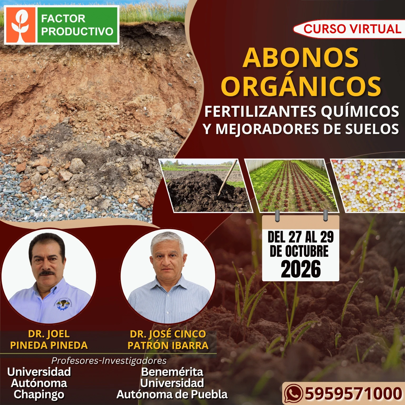 Programa del curso Abonos Orgánicos, Fertilizantes Químicos y Mejoradores de Suelos